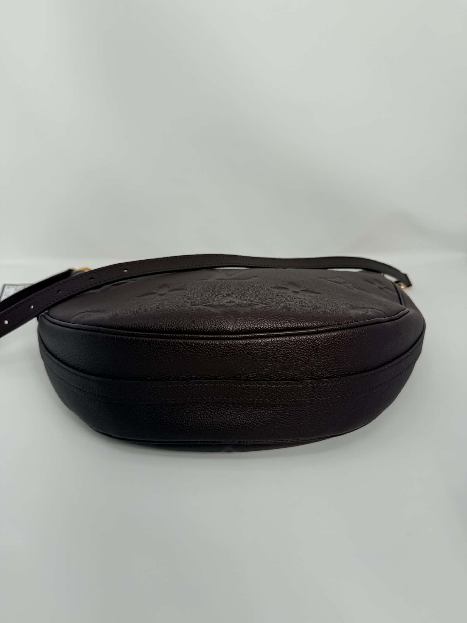 Louis Vuitton GM Loop Hobo