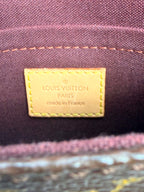 Louis Vuitton Favorite MM Monogram