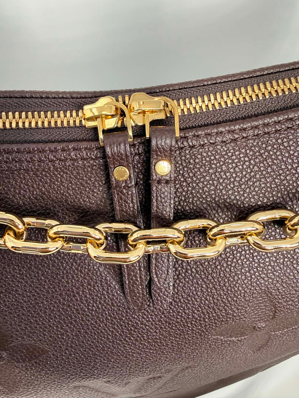 Louis Vuitton GM Loop Hobo