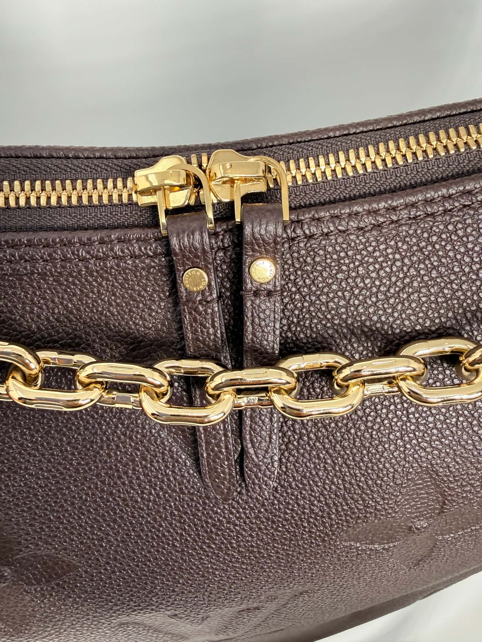Louis Vuitton GM Loop Hobo