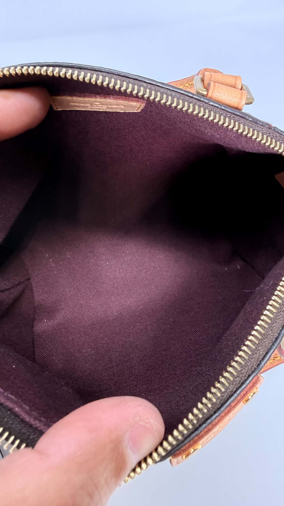Louis Vuitton Monogram Turenne Nano