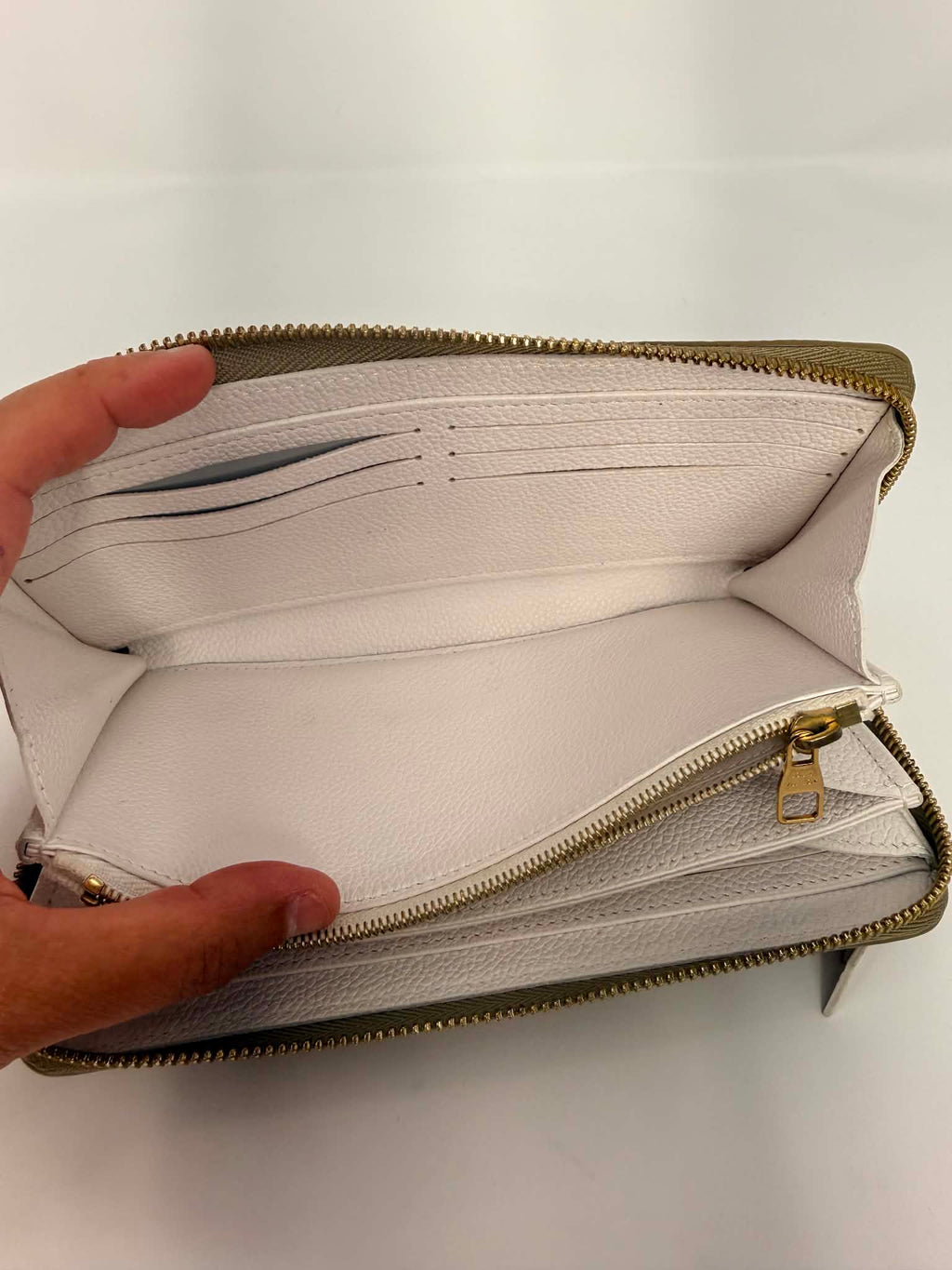 Louis Vuitton Spring in the City Long Zippy Wallet