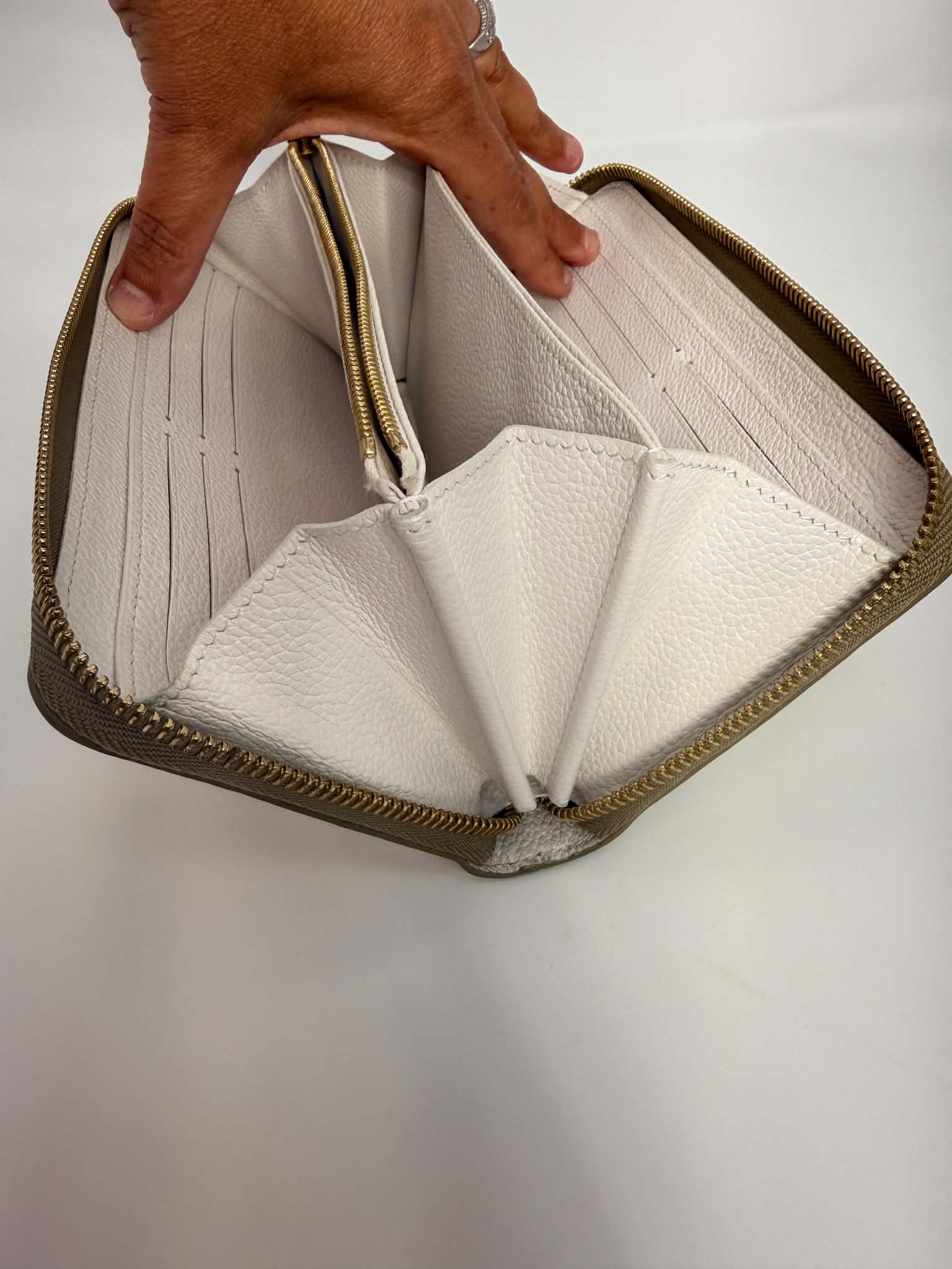 Louis Vuitton Spring in the City Long Zippy Wallet