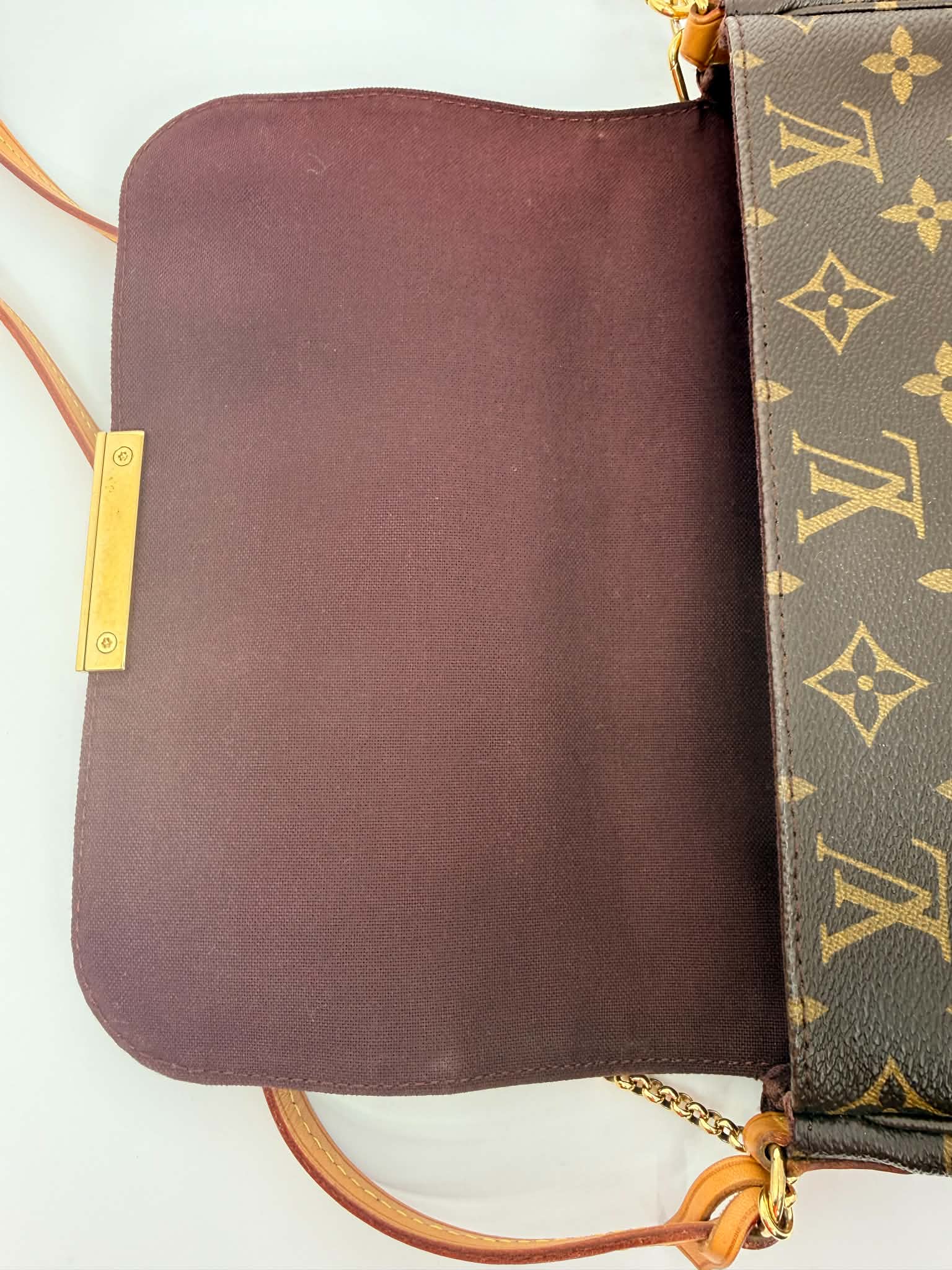 Louis Vuitton Favorite MM Monogram