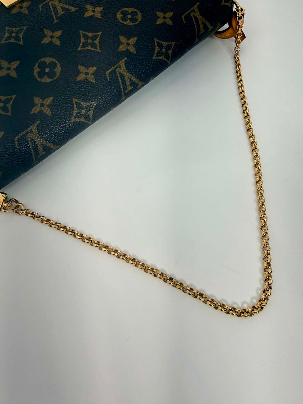 Louis Vuitton Favorite MM Monogram