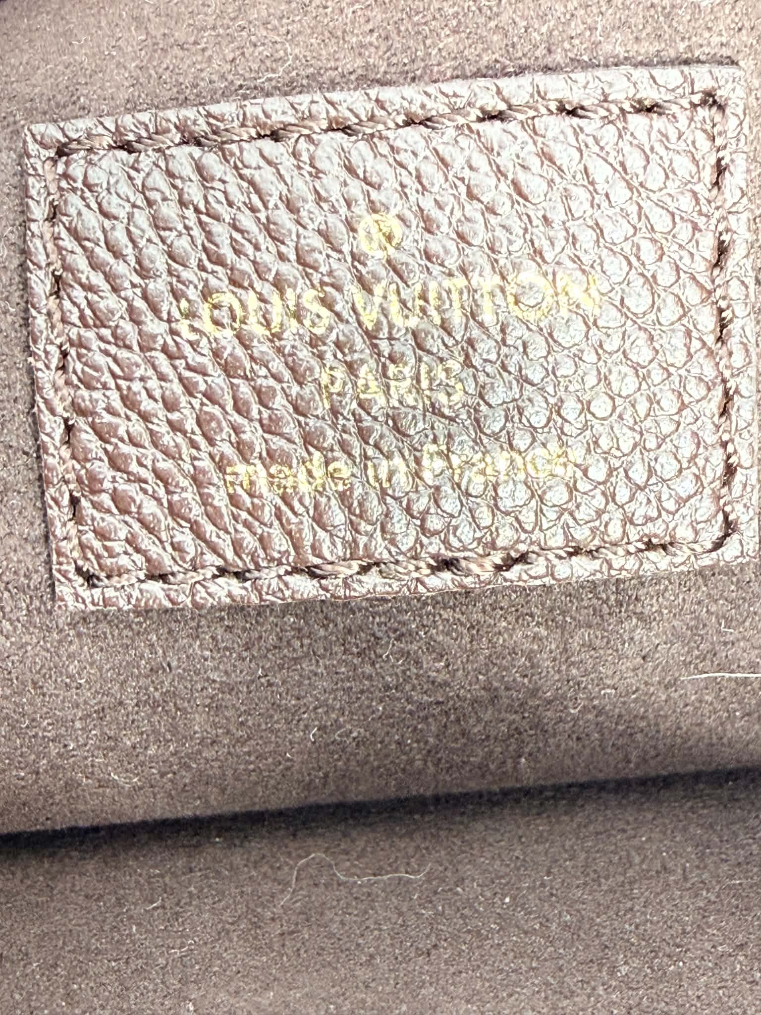 Louis Vuitton GM Loop Hobo