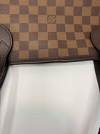 Louis Vuitton Neverfull MM Damier Ebene with Ballerina Pink Interior