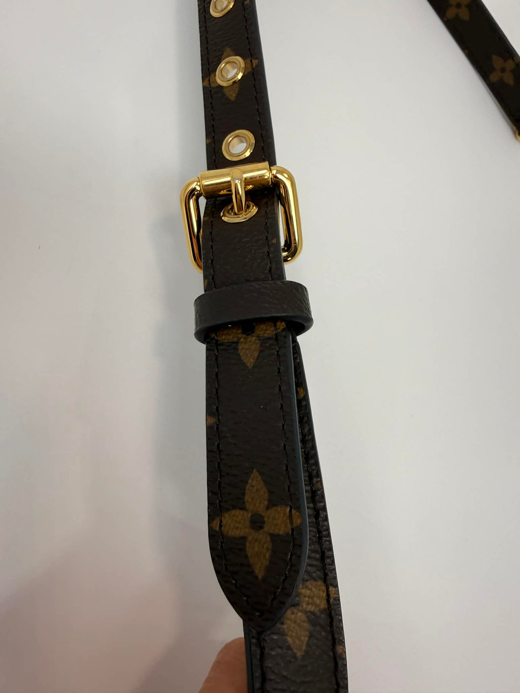 Louis Vuitton Pallas Monogram with Cherry