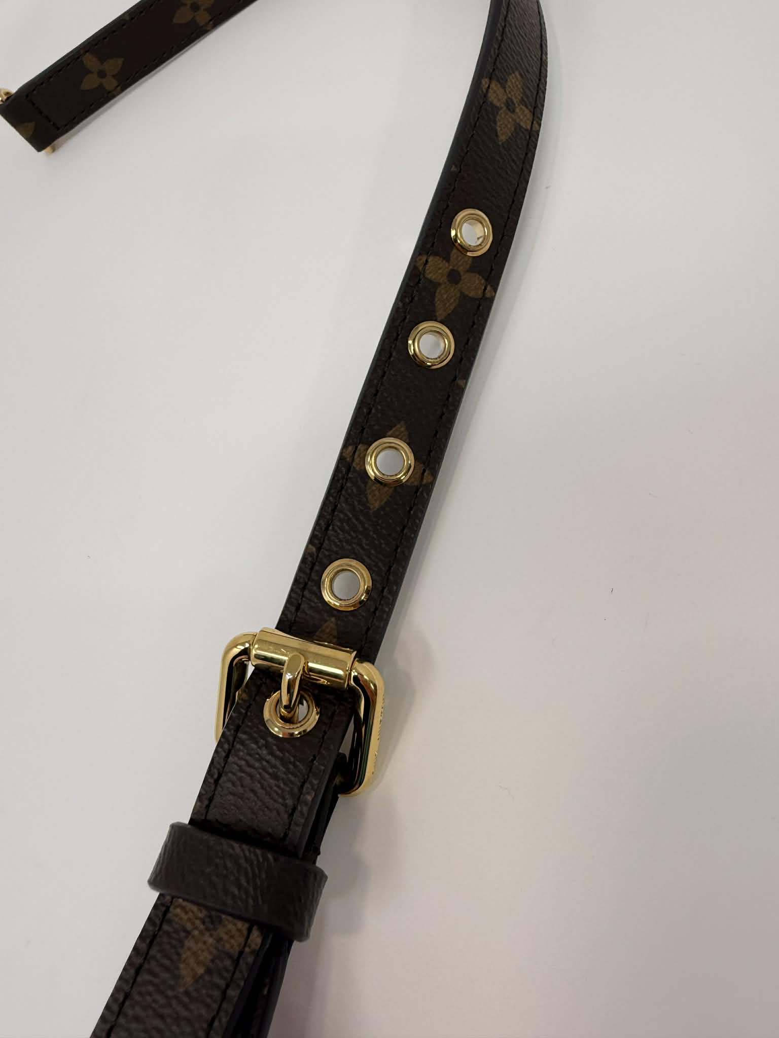 Louis Vuitton Pallas Monogram with Cherry