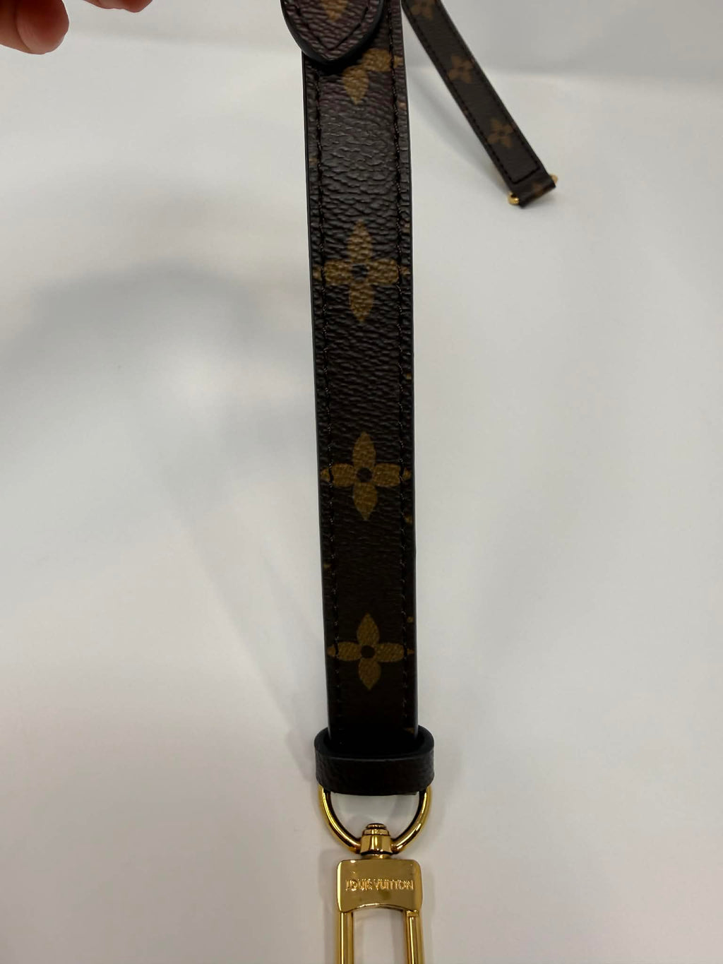 Louis Vuitton Pallas Monogram with Cherry