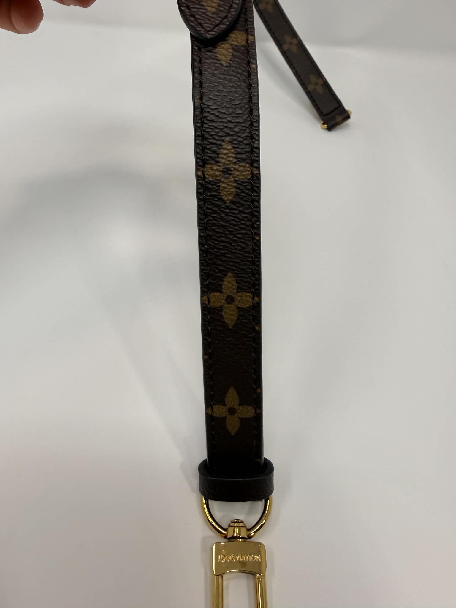Louis Vuitton Pallas Monogram with Cherry