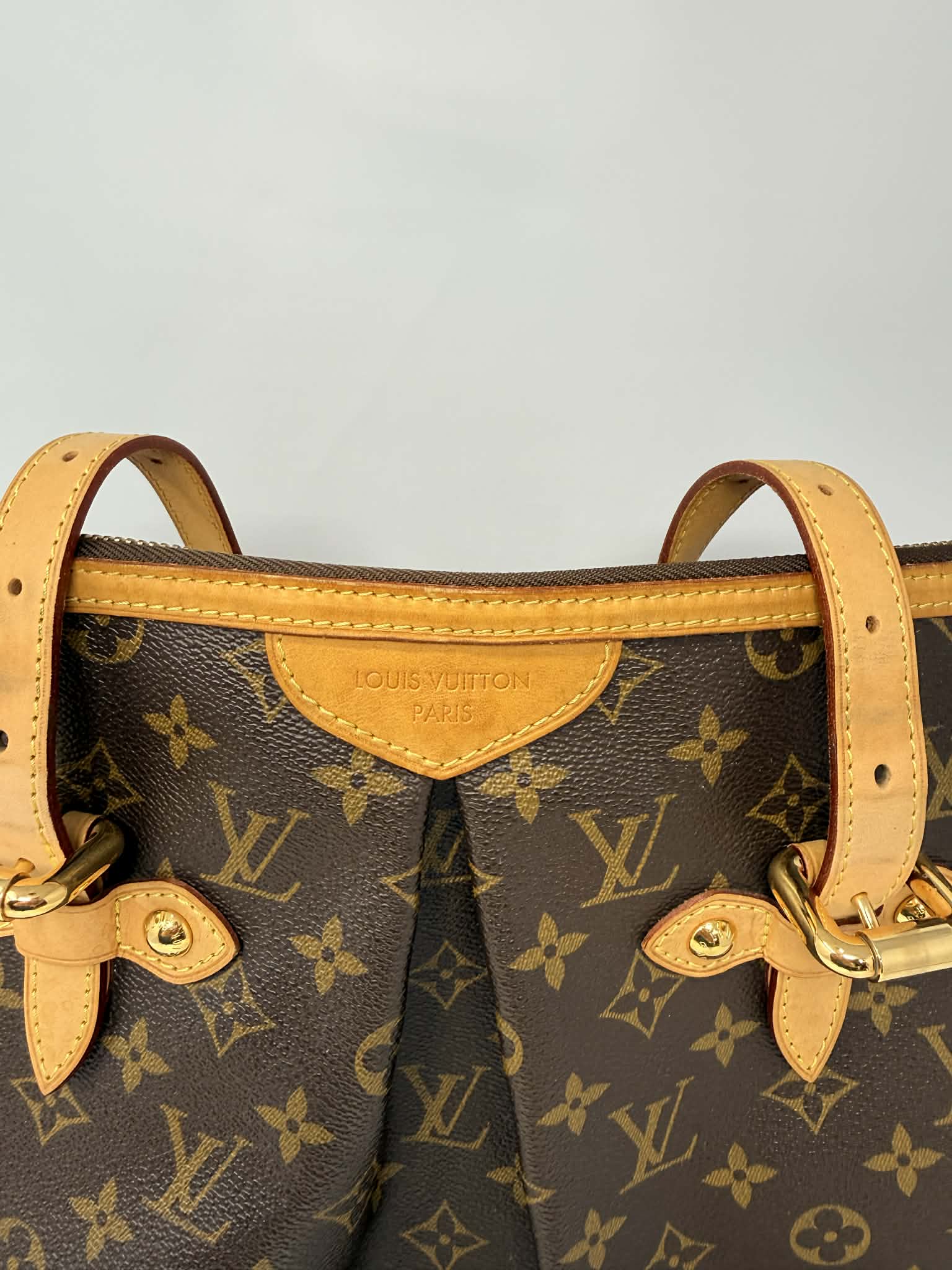Louis Vuitton Monogram Palermo GM with Leather Strap