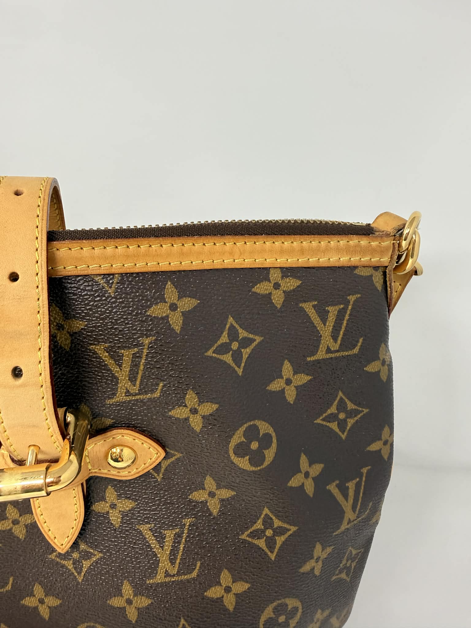 Louis Vuitton Monogram Palermo GM with Leather Strap