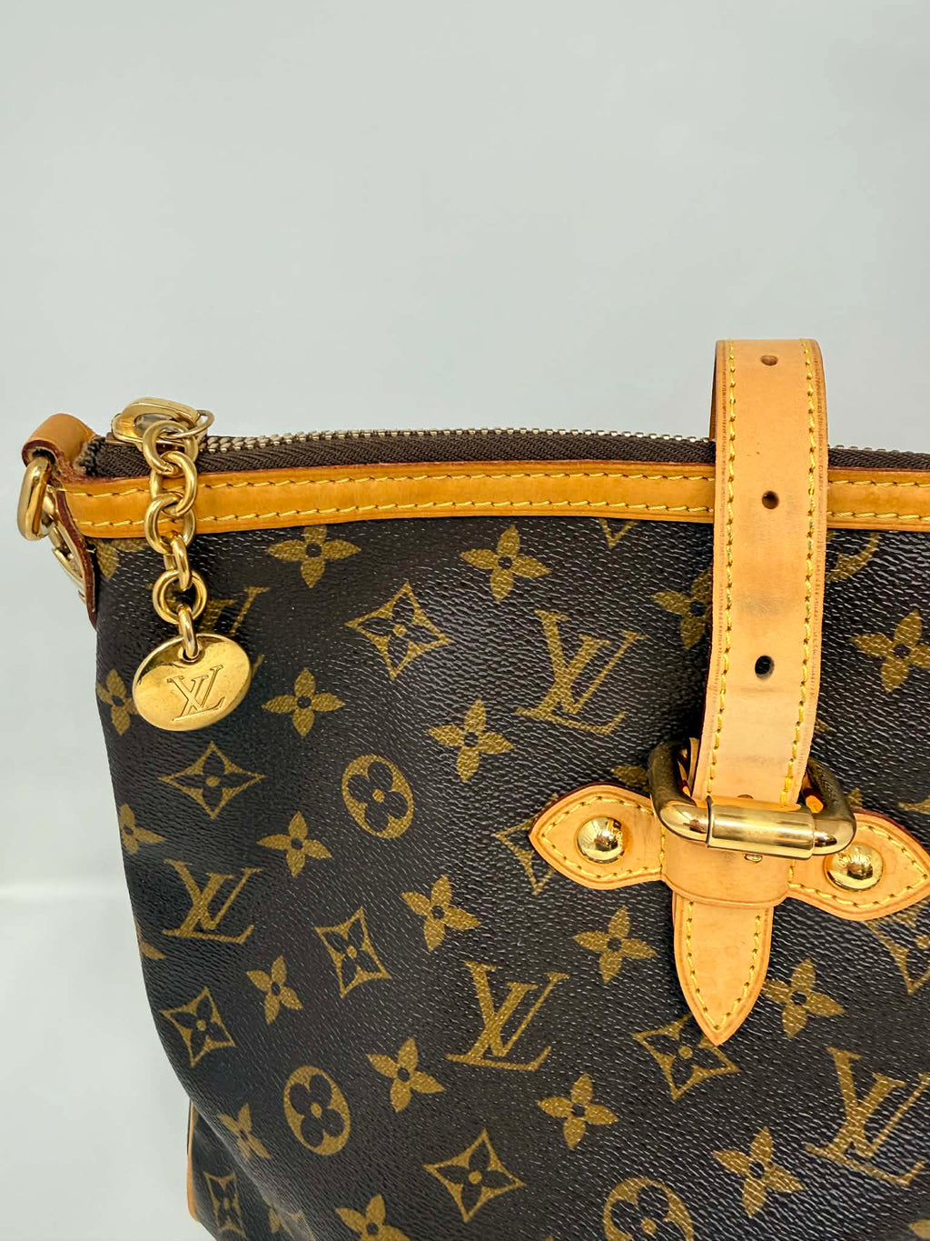 Louis Vuitton Monogram Palermo GM with Leather Strap