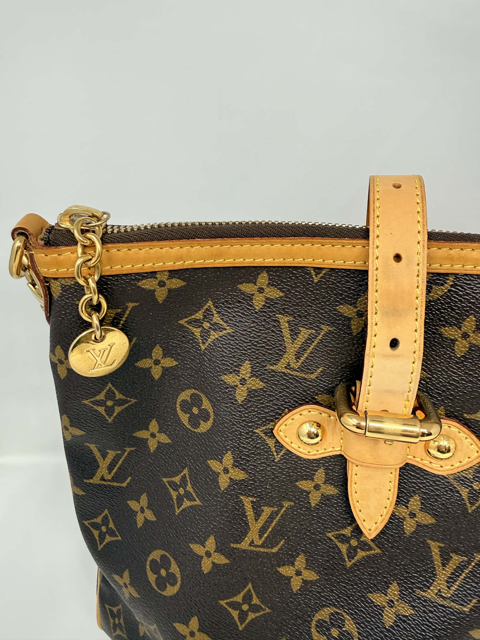 Louis Vuitton Monogram Palermo GM with Leather Strap