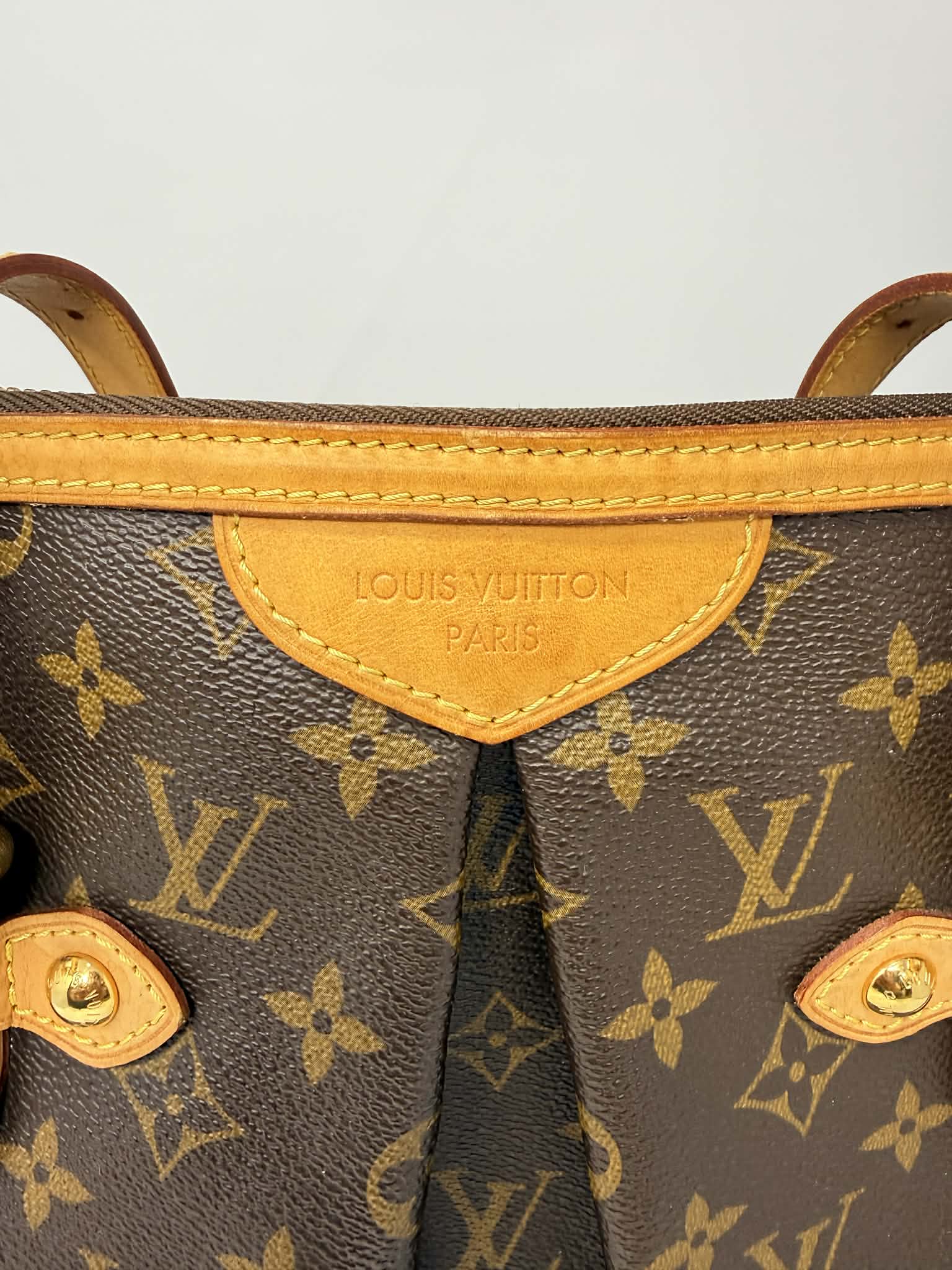 Louis Vuitton Monogram Palermo GM with Leather Strap