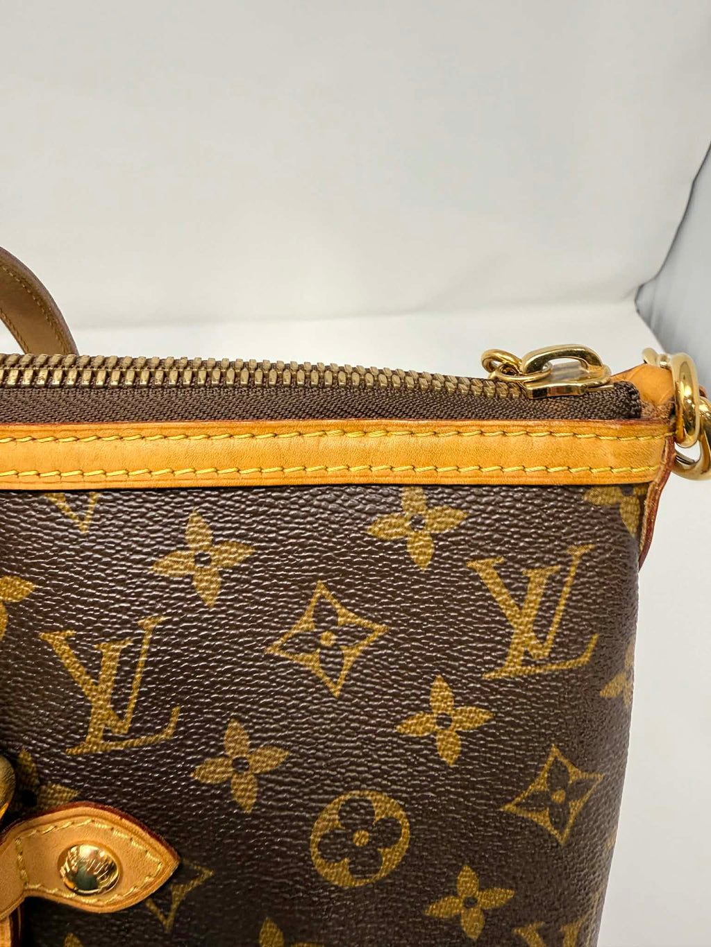 Louis Vuitton Monogram Palermo GM with Leather Strap