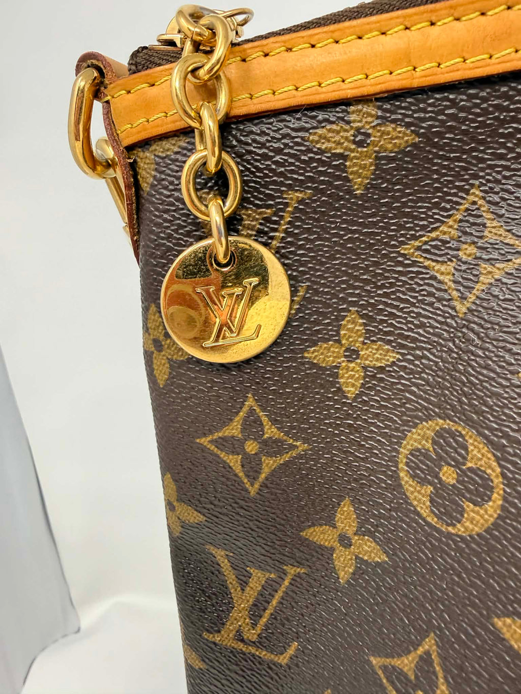 Louis Vuitton Monogram Palermo GM with Leather Strap