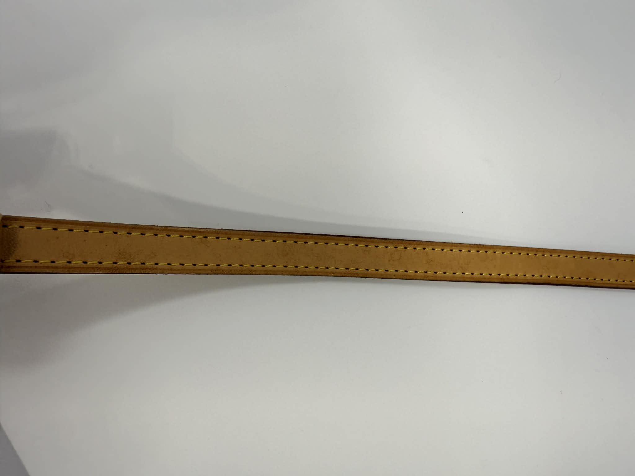 Louis Vuitton Monogram Palermo GM with Leather Strap