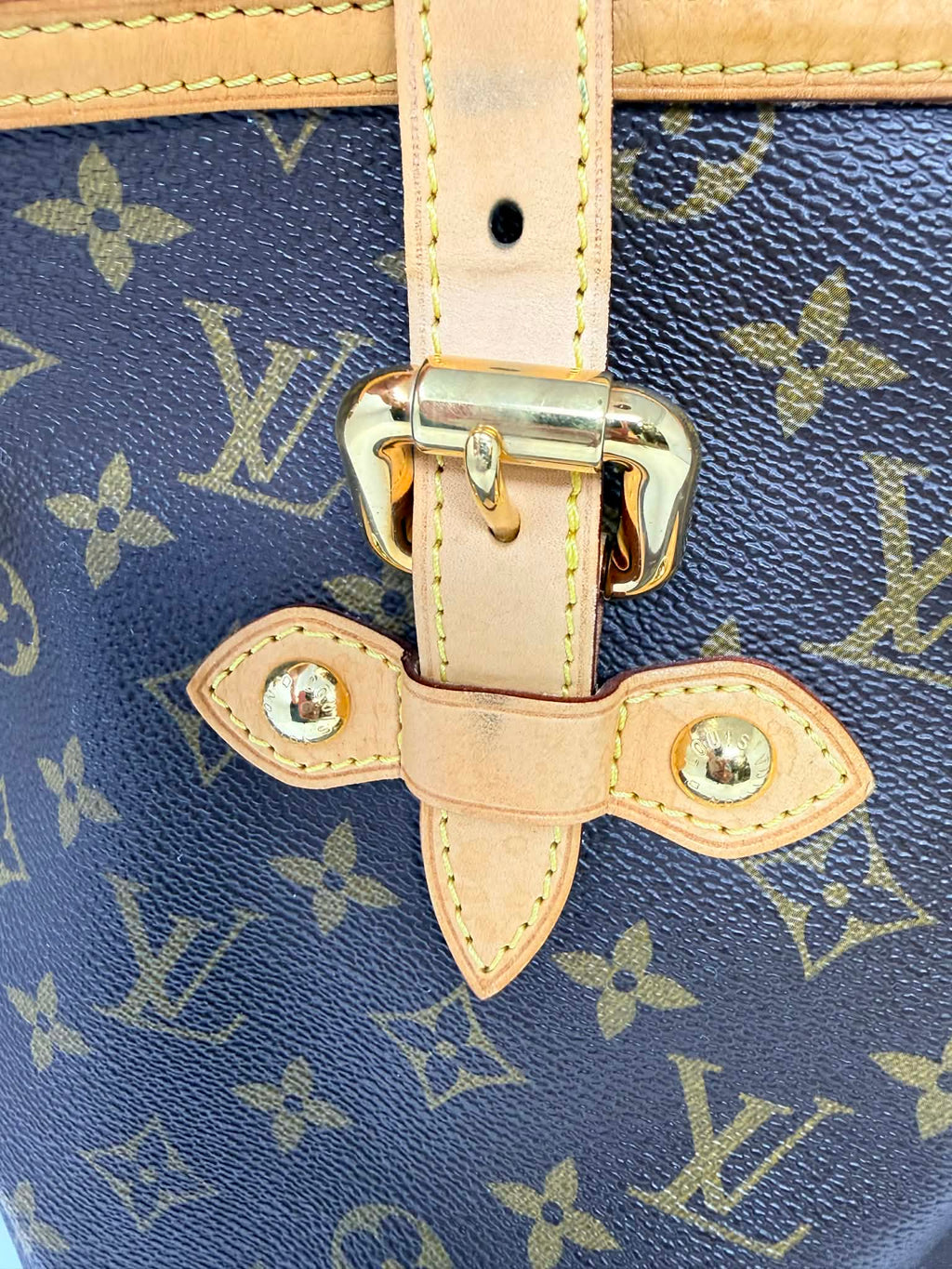 Louis Vuitton Monogram Palermo GM with Leather Strap