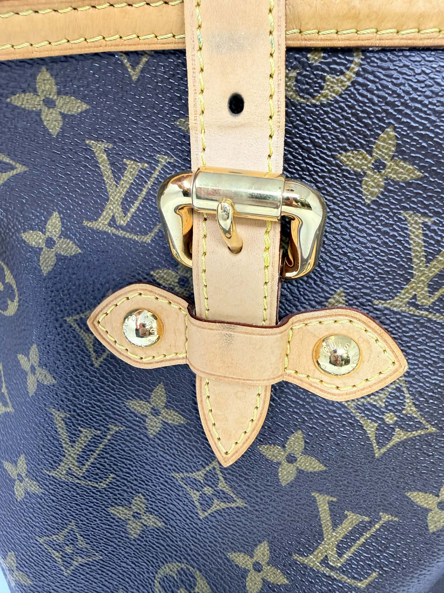 Louis Vuitton Monogram Palermo GM with Leather Strap