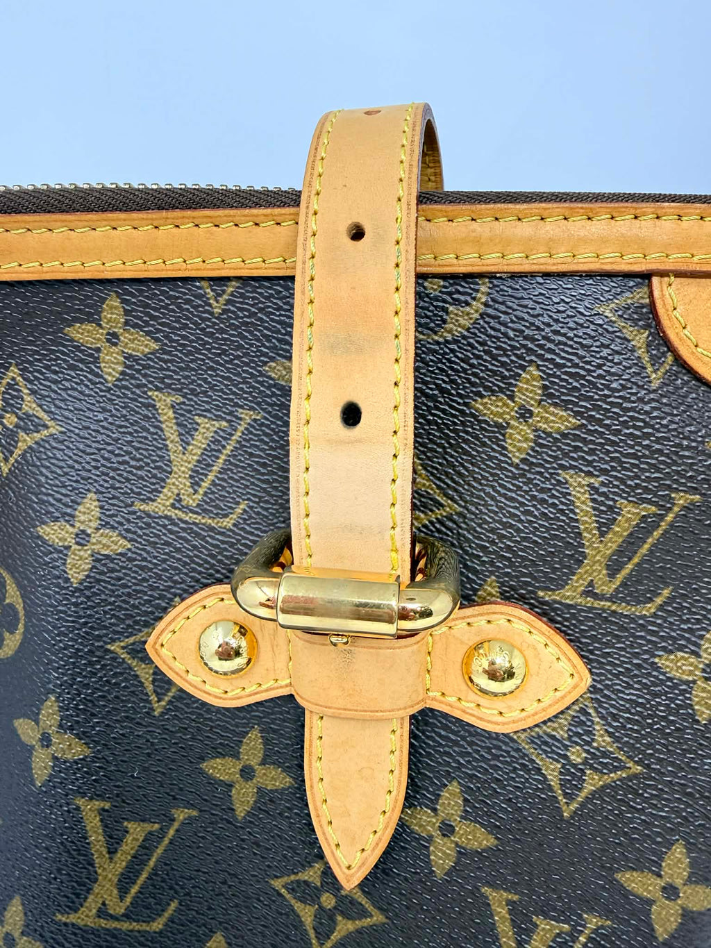 Louis Vuitton Monogram Palermo GM with Leather Strap
