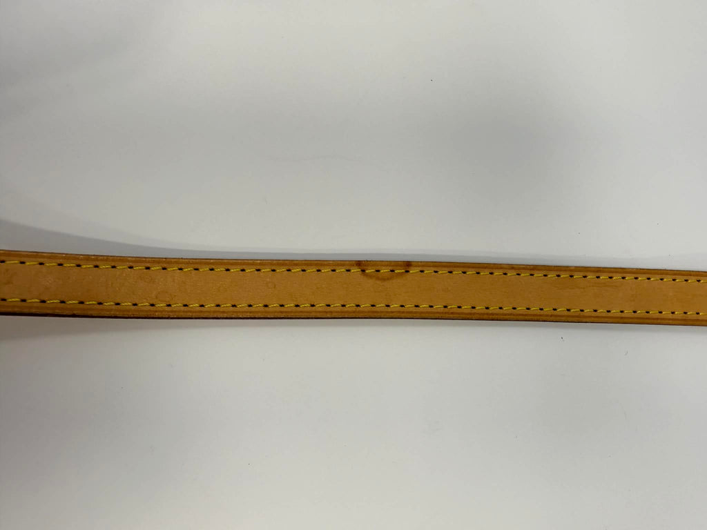 Louis Vuitton Monogram Palermo GM with Leather Strap