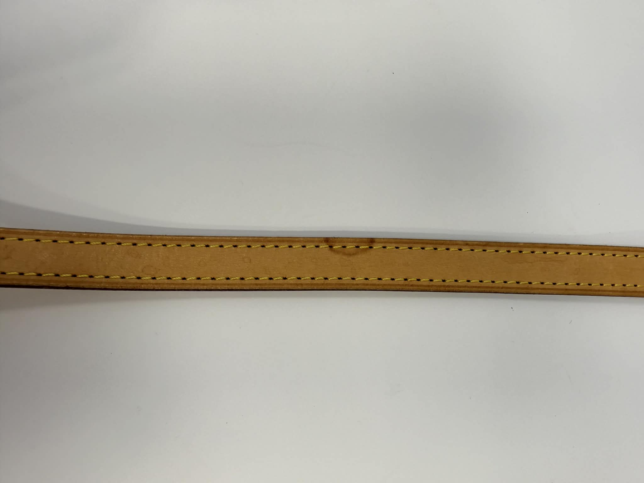 Louis Vuitton Monogram Palermo GM with Leather Strap