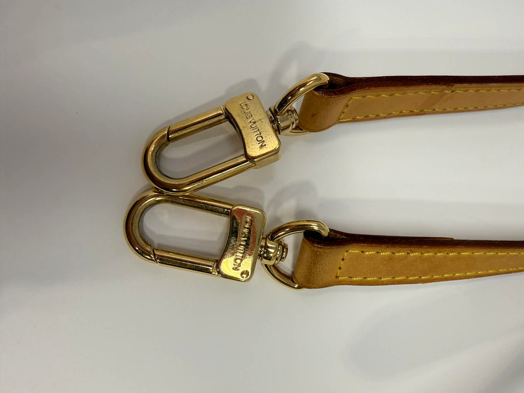 Louis Vuitton Monogram Palermo GM with Leather Strap