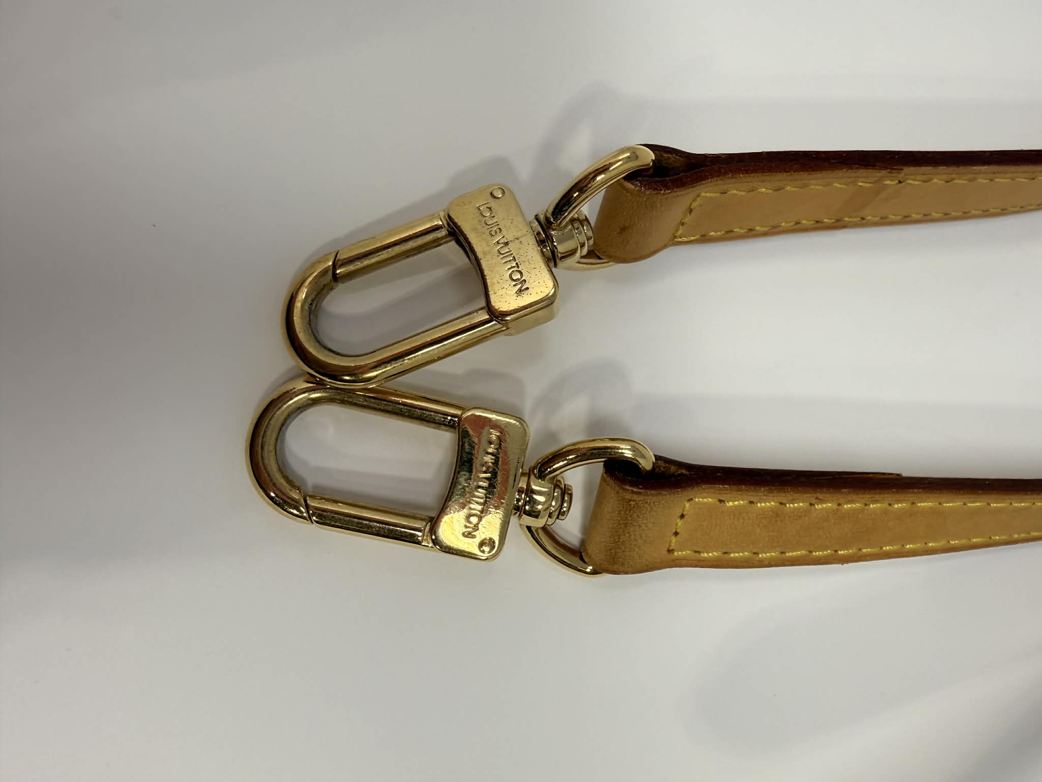Louis Vuitton Monogram Palermo GM with Leather Strap