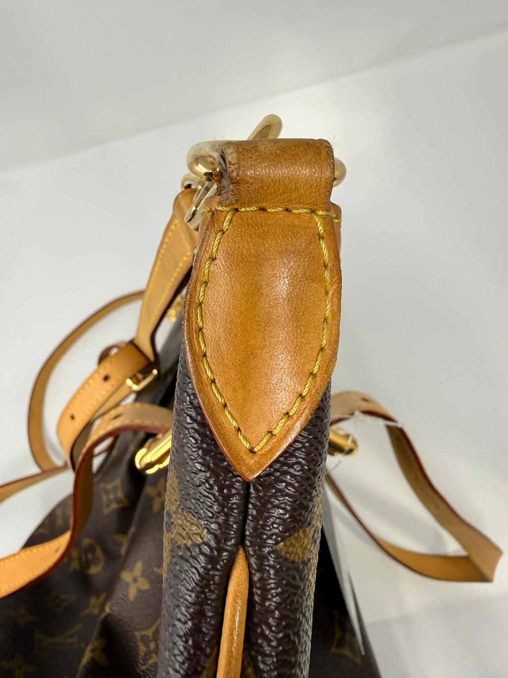 Louis Vuitton Monogram Palermo GM with Leather Strap
