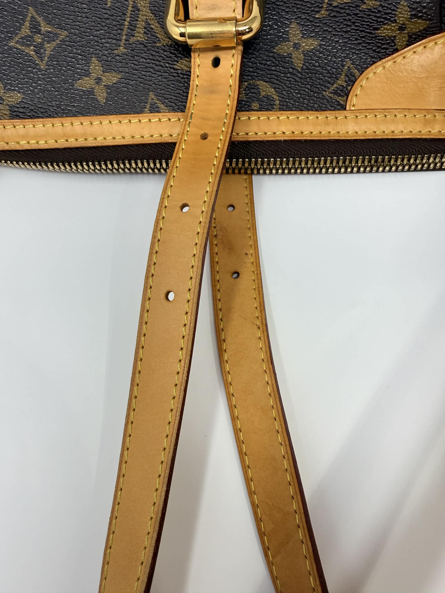 Louis Vuitton Monogram Palermo GM with Leather Strap