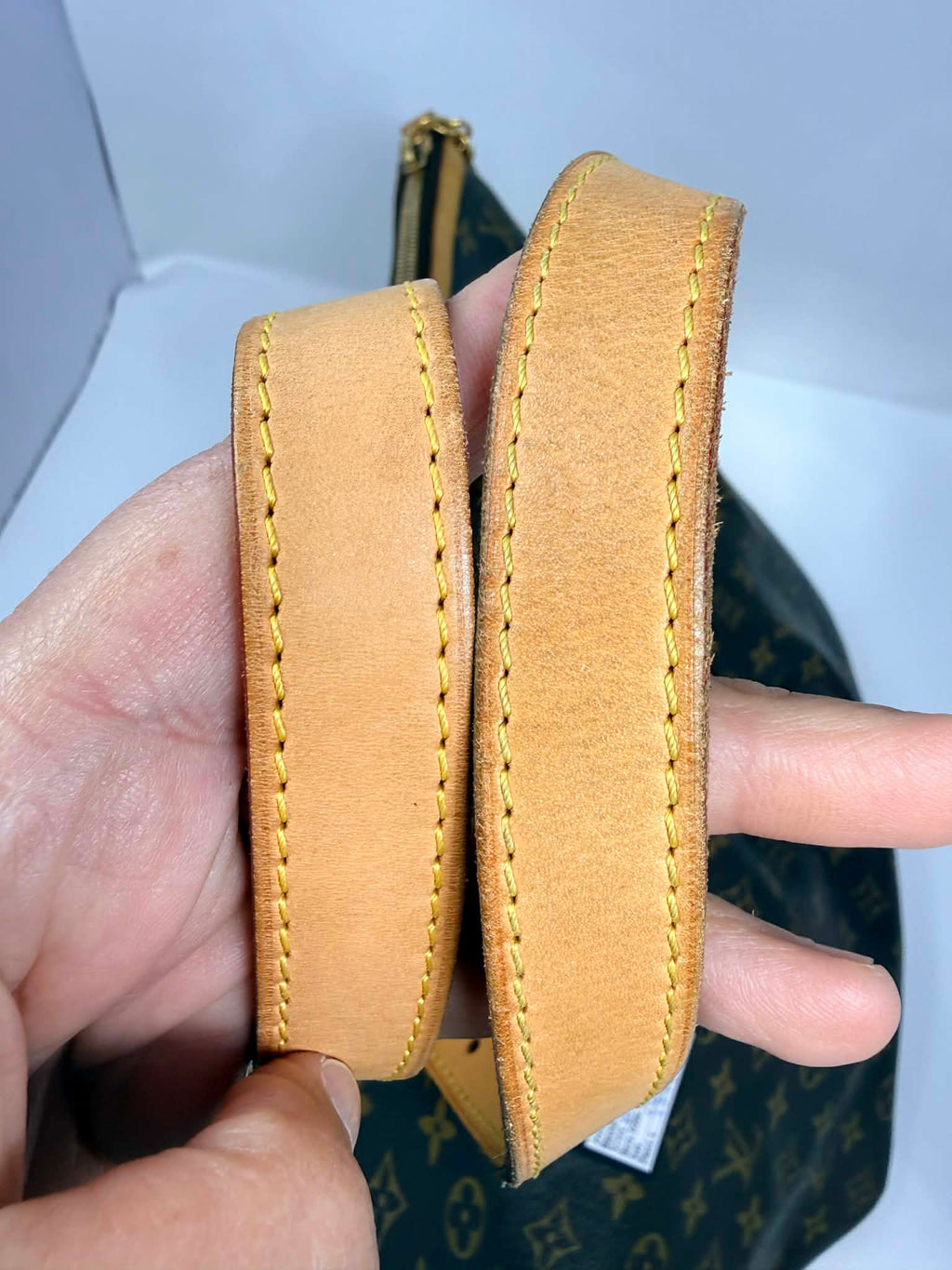 Louis Vuitton Monogram Palermo GM with Leather Strap