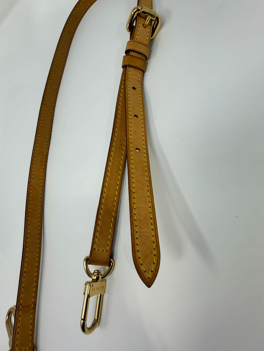 Louis Vuitton Monogram Palermo GM with Leather Strap