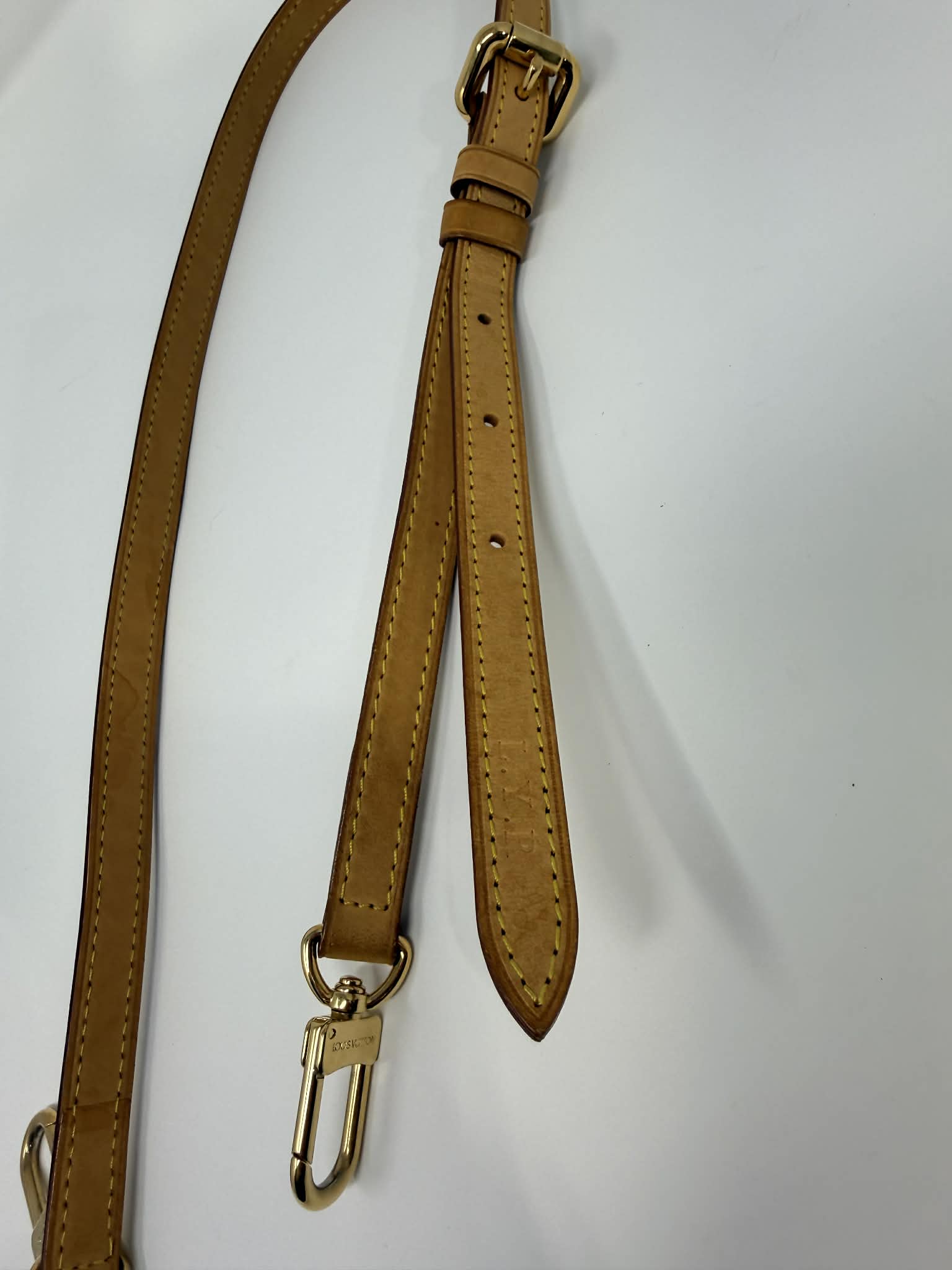Louis Vuitton Monogram Palermo GM with Leather Strap
