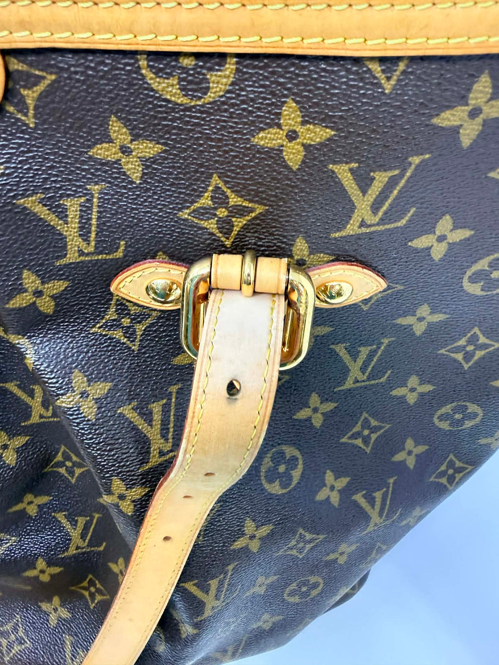 Louis Vuitton Monogram Palermo GM with Leather Strap