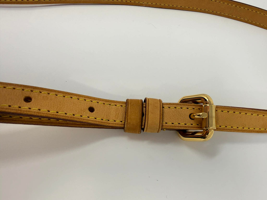 Louis Vuitton Monogram Palermo GM with Leather Strap