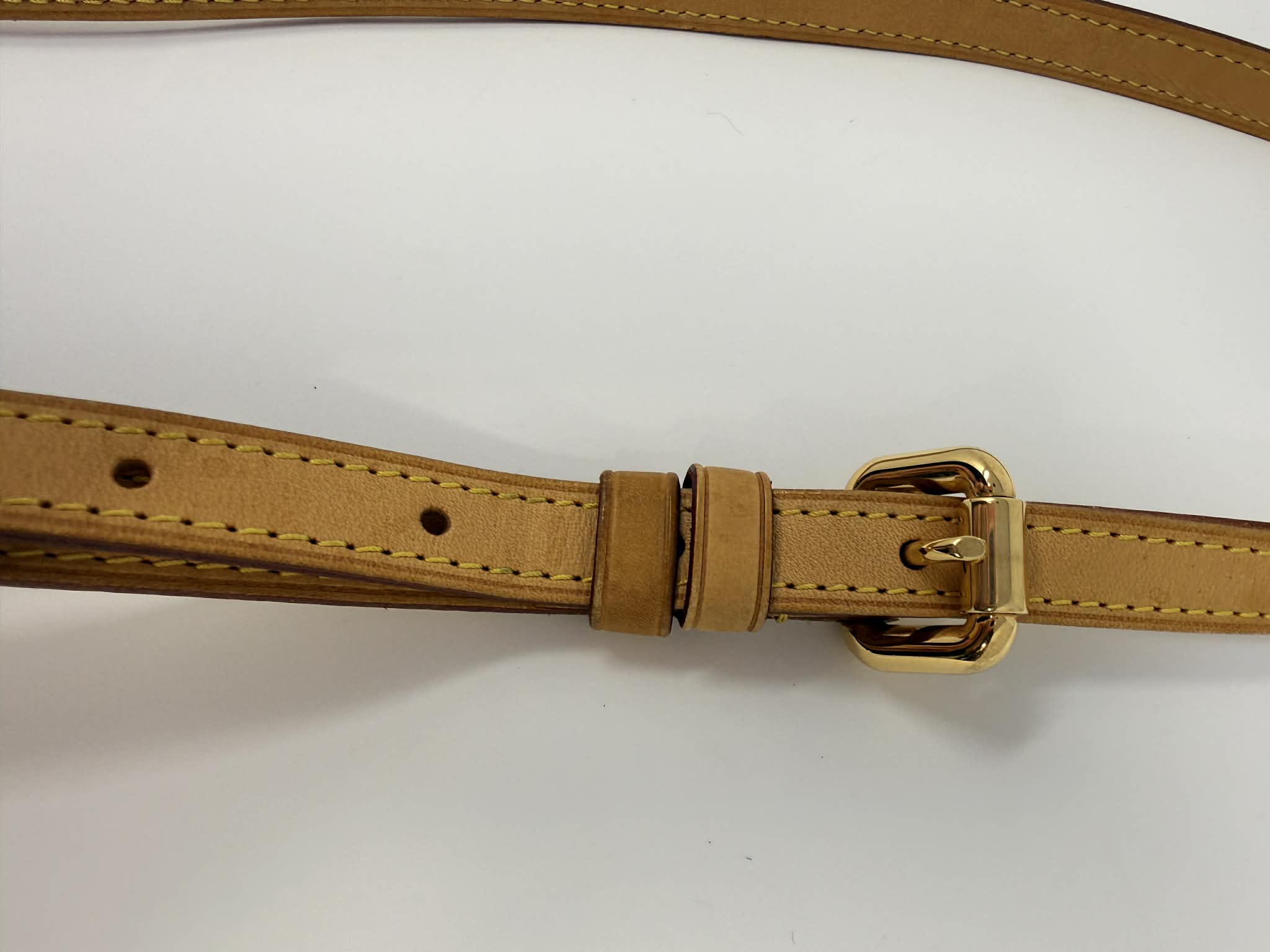 Louis Vuitton Monogram Palermo GM with Leather Strap