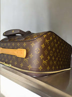 Louis Vuitton Damier Ebene Pegase 45 Rolling Luggage