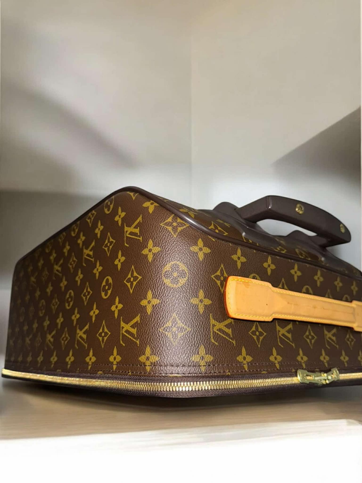Louis Vuitton Damier Ebene Pegase 45 Rolling Luggage