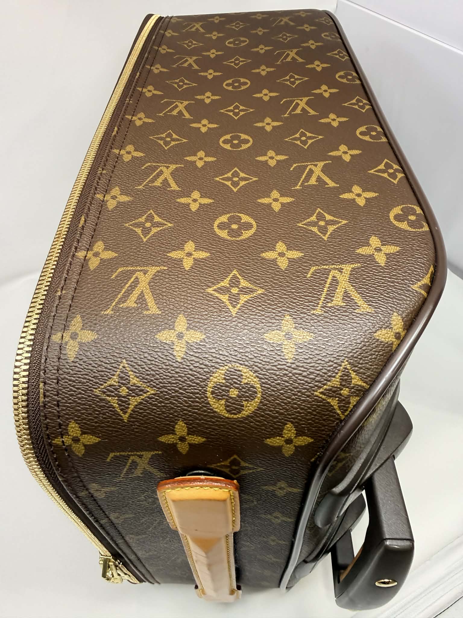 Louis Vuitton Damier Ebene Pegase 45 Rolling Luggage