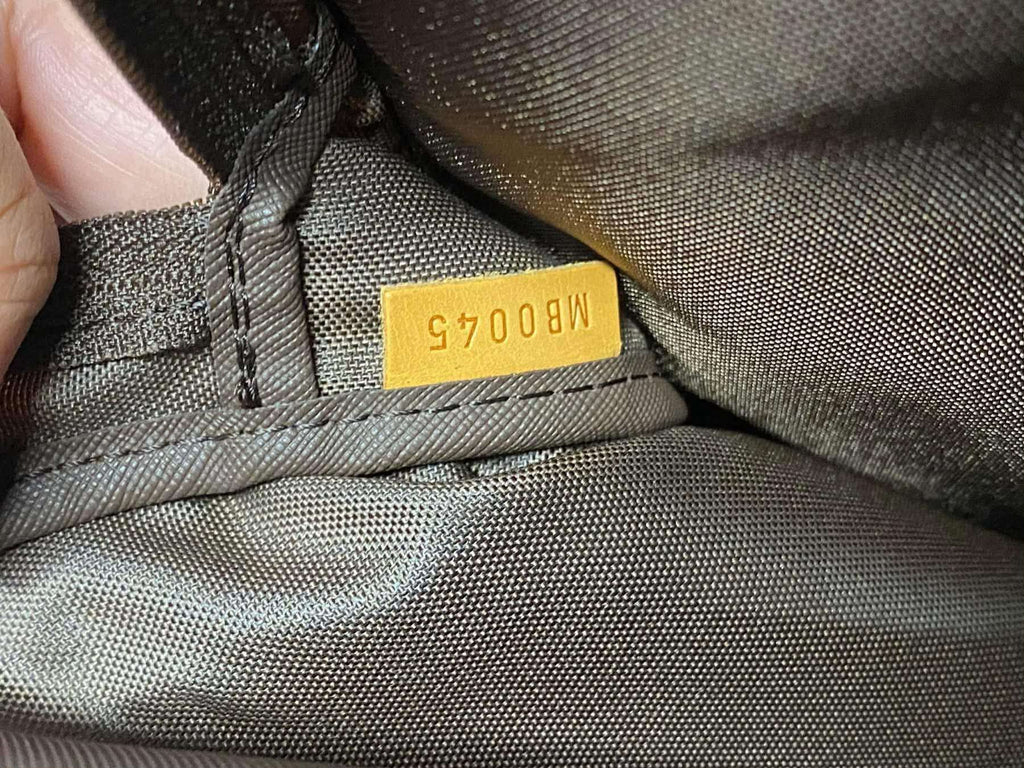Louis Vuitton Damier Ebene Pegase 45 Rolling Luggage