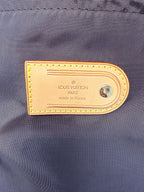 Louis Vuitton Damier Ebene Pegase 45 Rolling Luggage