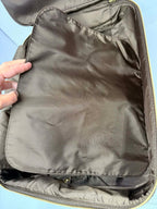 Louis Vuitton Damier Ebene Pegase 45 Rolling Luggage