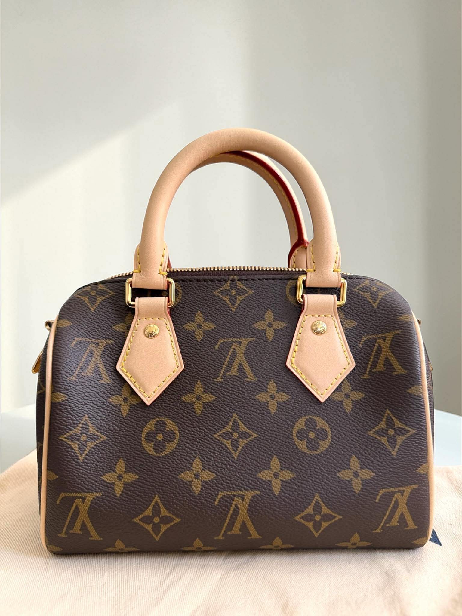 Louis Vuitton Monogram Speedy 20 Bando
