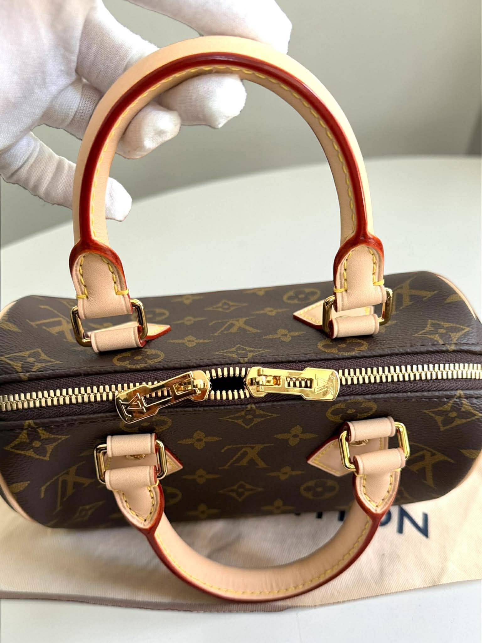 Louis Vuitton Monogram Speedy 20 Bando