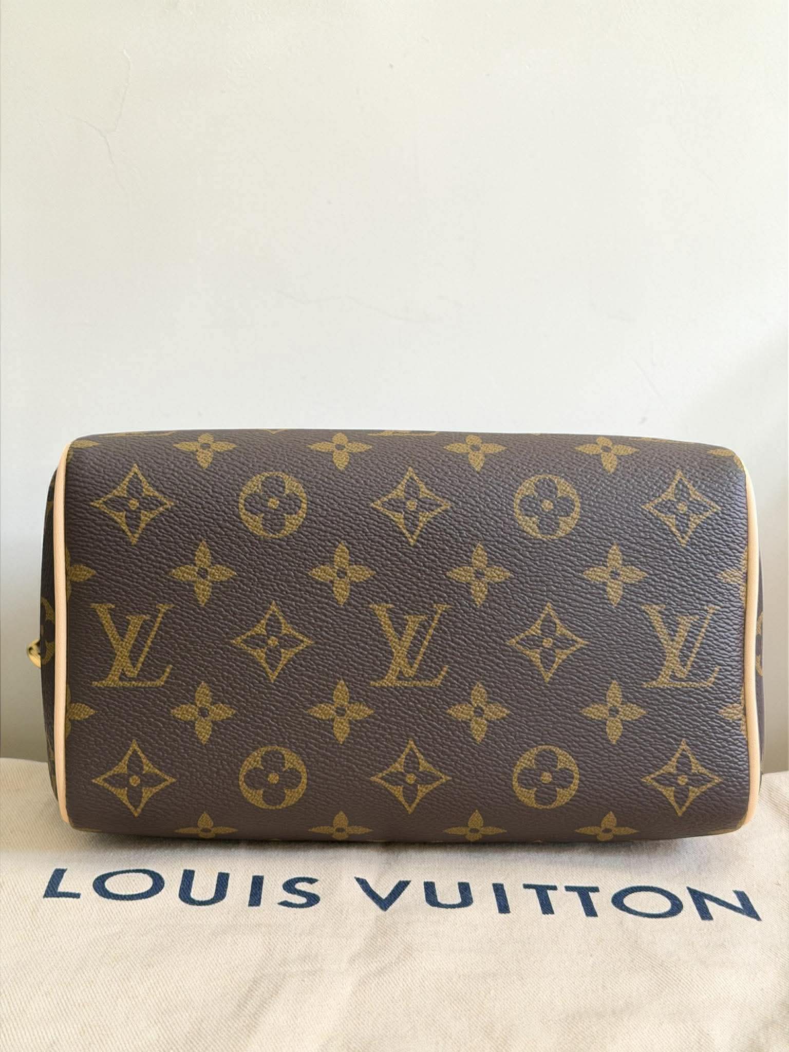 Louis Vuitton Monogram Speedy 20 Bando