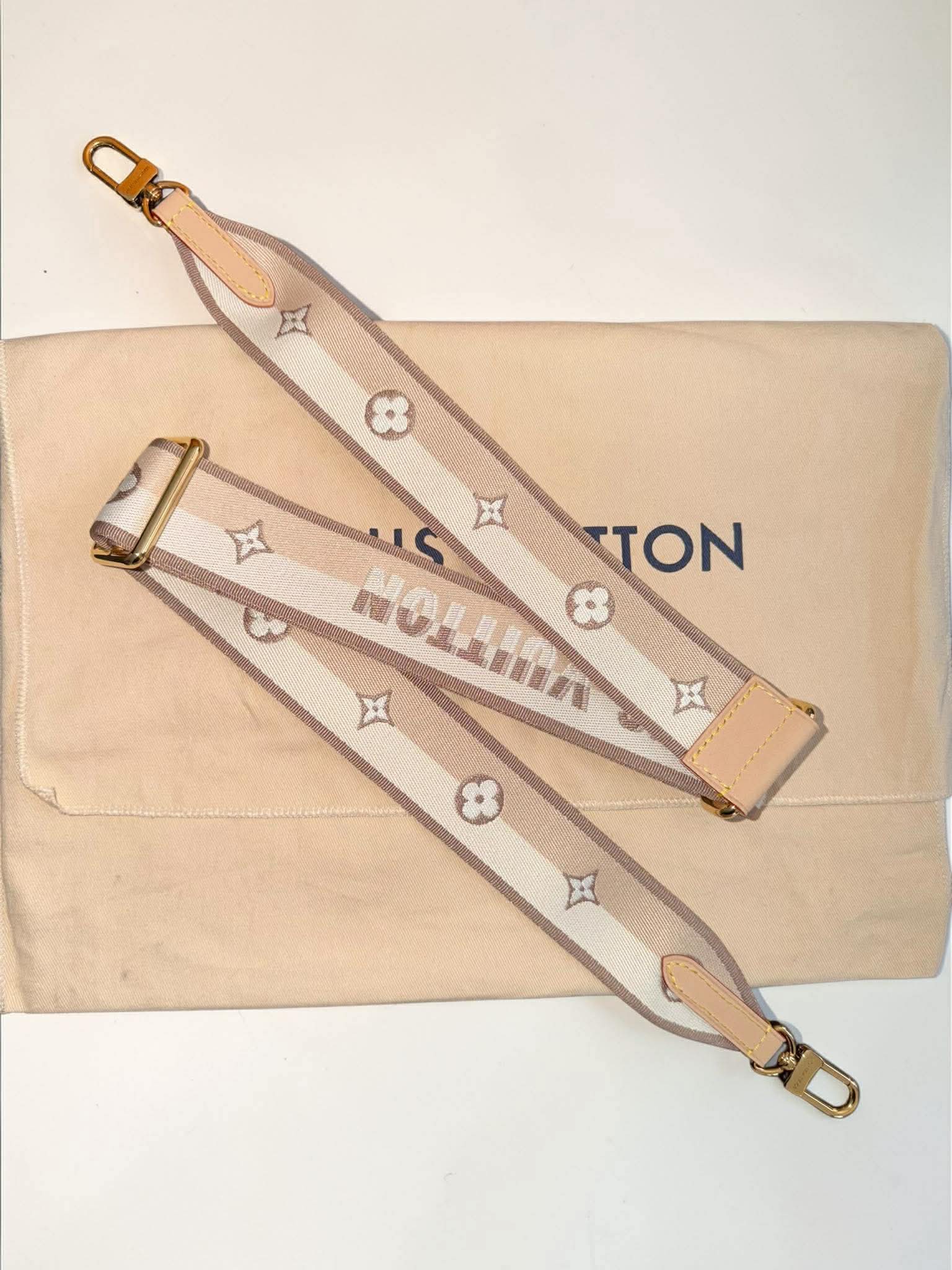 Louis Vuitton Monogram Speedy 20 Bando