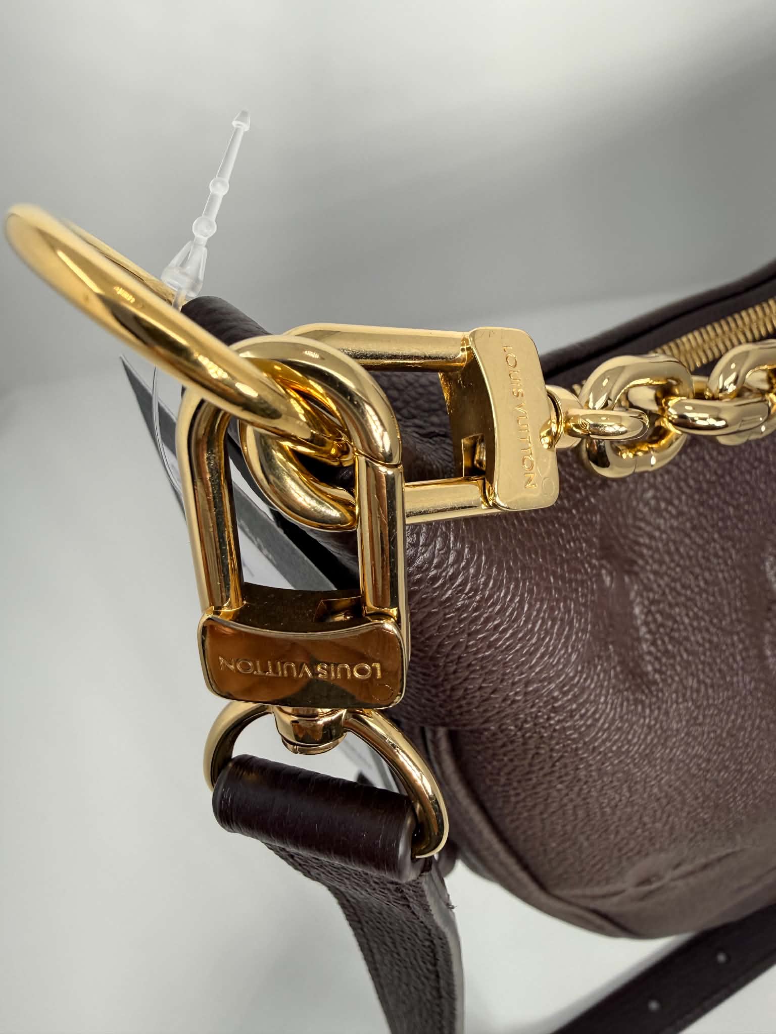 Louis Vuitton GM Loop Hobo