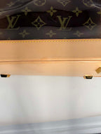 Louis Vuitton Vinyl Cabas Ambre MM